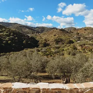  Frühstückspension Elements Spanien